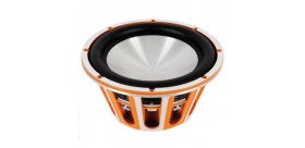 Subwoofer da 12 doppio magnete 100W max